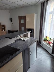 una cucina con piano di lavoro nero in una camera di Apartmán pri Sokolovni a Martin