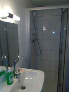 a bathroom with a shower and a sink and a shower at Ferienwohnung Am Himmel in Birx