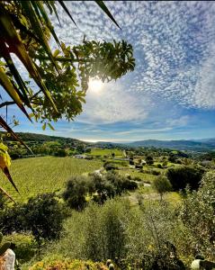 a view of a field with the sun in the sky at Domus de Goene in Loceri