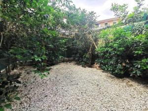 a garden with gravel and trees and a fence at Studio Zen hypercentre parking privé WIFI in Salon-de-Provence +1 photo