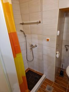 ein Bad mit einer Dusche und einem Regenbogen-Vorhang in der Unterkunft Studio Lotrist in Radovljica