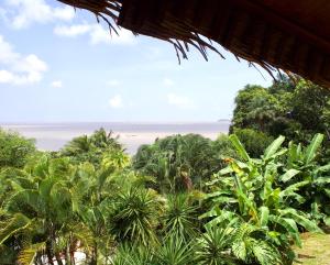 a view of the ocean from a forest of palm trees at Le Karbé Bakov in Rémire-Camp