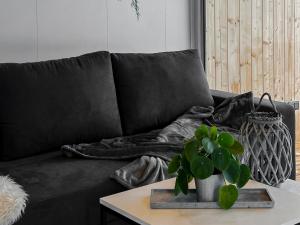 a black couch with a potted plant on a table at Hundweiler Hofheimat in Markdorf