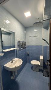 La salle de bains est pourvue d'un lavabo et de toilettes. dans l'établissement ВАЛ Къща за Гости - яз Жребчево, à Tvŭrditsa