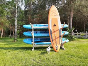 a stack of inflatable surfboards and a dog standing in the grass at Osada Wejsuny in Ruciane-Nida