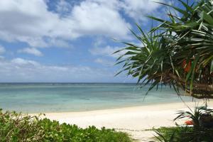 a beach with a palm tree and the ocean at Maravilla in Nakijin