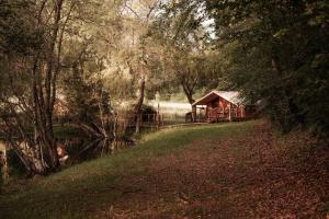 a cabin in the middle of a forest with a river at Slow Village Séveilles - Périgord in Valades