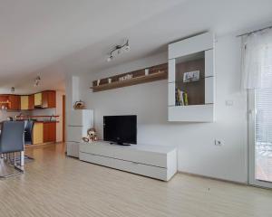 TV a/nebo společenská místnost v ubytování Apartma Hilltop Haven