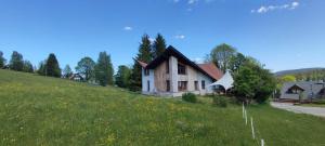 a house on top of a grassy hill at Šírovka in Horní Polubný