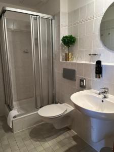 W łazience znajduje się prysznic, toaleta i umywalka. w obiekcie Seehof Netzen w mieście Lehnin