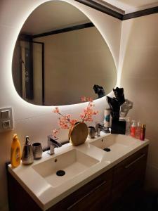 La salle de bains est pourvue d'un lavabo et d'un grand miroir. dans l'établissement appartement cosy, à Feigères