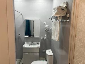 een kleine badkamer met een toilet en een wastafel bij Green Hotel Dushanbe in Doesjanbe