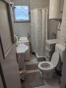 een kleine badkamer met een toilet en een wastafel bij Apartman 1 in Foča