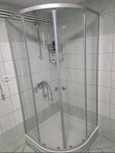 La salle de bains est pourvue d'une douche avec une porte en verre. dans l'établissement Apartman Ivo, à Livno