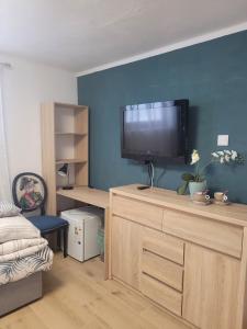 ein Wohnzimmer mit einem Flachbild-TV auf einer Kommode in der Unterkunft Pokoje na Warszawskiej in Gorzów Wielkopolski