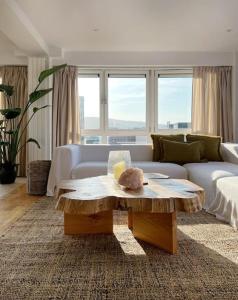 Χώρος καθιστικού στο Luxury City Penthouse with views