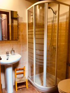 y baño con ducha y lavamanos. en Casa Rural Basajarau, en Yosa de Sobremonte