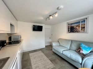 Televiisor ja/või meelelahutuskeskus majutusasutuses The Snug at Ascerton