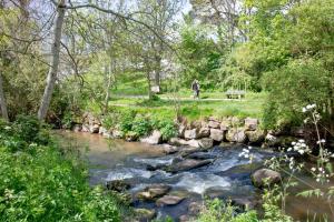 Loodusmaastik puhkemaja lähedal