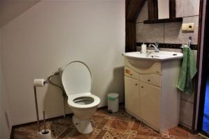 ein Bad mit einem WC und einem Waschbecken in der Unterkunft U Lesíčka in Vysoká