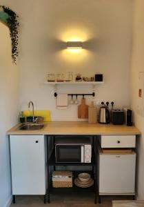 eine Küche mit einer Theke mit einer Spüle und einer Mikrowelle in der Unterkunft Casinha Rubiães in Paredes de Coura