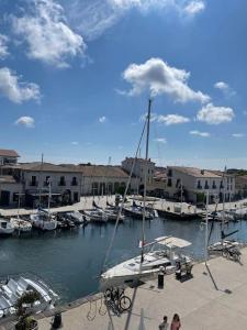 un grupo de barcos atracados en un puerto deportivo con edificios en La maison du Port Apt MARSA, en Marseillan