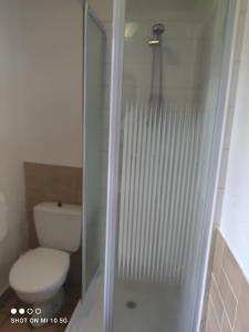 Les colombages bis في Pazayac: حمام به مرحاض و كشك دش زجاجي