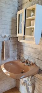łazienka z umywalką i apteczką w obiekcie Green Thumb Farm Stay w mieście Ermelo