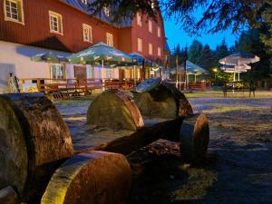 Mynd úr myndasafni af Hotel Lesní Chata í Kořenov