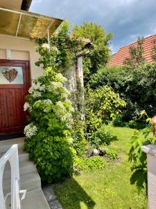 ogród z drzwiami i krzakiem z kwiatami w obiekcie Landhaus mit Garten w mieście Neutal