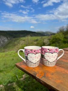 Φωτογραφία από το άλμπουμ του Biserna Dolina Uvac σε Sjenica