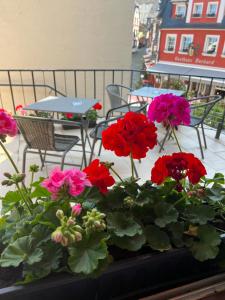 garnek czerwonych i różowych kwiatów na balkonie w obiekcie Das kleine Stadthaus w mieście Bernkastel-Kues