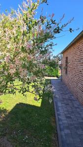 a tree with pink flowers next to a brick sidewalk at Gîte rural "l'Anseromia" in Dinant