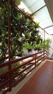 a fence with a tree in a greenhouse at Casa Ester in Aradeo