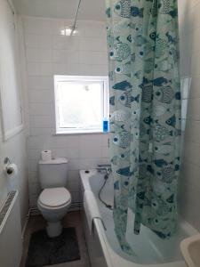 a bathroom with a toilet and a shower curtain at Llewellyn House in Llwyn-y-pia