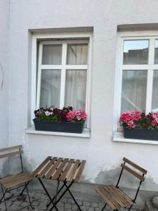 格賴夫斯瓦爾德的住宿－Stadtzentrum, ruhig, praktisch，两把长椅,坐在两扇鲜花窗前
