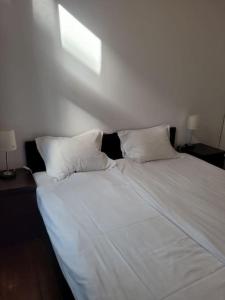 un letto bianco con due cuscini sopra di Rent-Apart City Center - apartament z 1 sypialnią a Łódź
