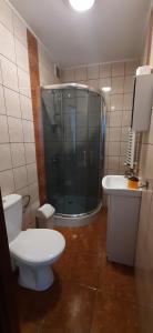 ein Bad mit einem WC, einer Dusche und einem Waschbecken in der Unterkunft Zielony Domek in Tylicz