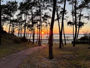 a dirt road leading to a beach with a sunset at Charmante maison aux Abatilles-piscine-8 pers in Arcachon
