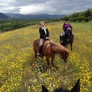 Paardrijden bij de vakantieboerderij of in de buurt