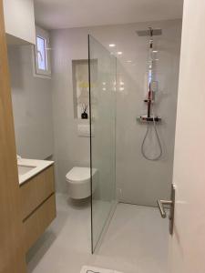 a bathroom with a glass shower and a toilet at Cap d ail Appartement aux portes de Monaco in Saint-Antoine