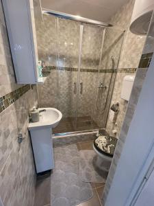 uma casa de banho com um chuveiro, um WC e um lavatório. em Golden BIS 2, Subotica em Subotica