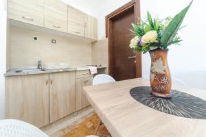 Kuchyň nebo kuchyňský kout v ubytování Guest House Zuber