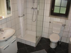 y baño con aseo, ducha y lavamanos. en Ferienwohnung Pia, en Mettlach