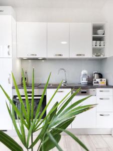 Kuchyňa alebo kuchynka v ubytovaní Rosemarie Beach Suites Zadar