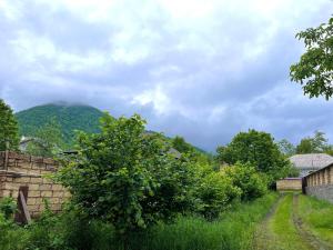 a stone wall and trees with a mountain in the background at Secret Garden Guest House in Gabala