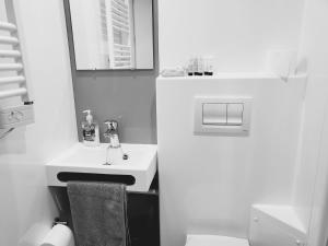 een witte badkamer met een wastafel en een toilet bij Studio apartment within city centre with ensuite in Coventry