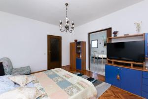 TV a/nebo společenská místnost v ubytování Apartments Anka