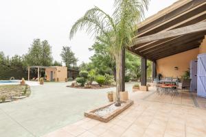 un patio con una palmera y una piscina en Villa Laforge, en Carmona