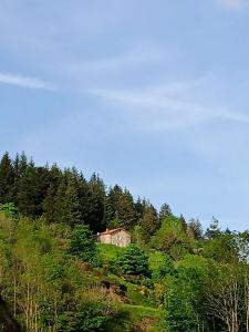 una casa sul fianco di una collina con alberi di Ancienne petite ferme rénovée a Saint-Régis-du-Coin